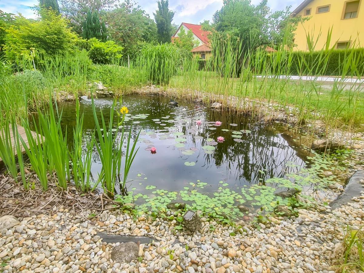 Ditlin Apartmanok Pápa Esterno foto
